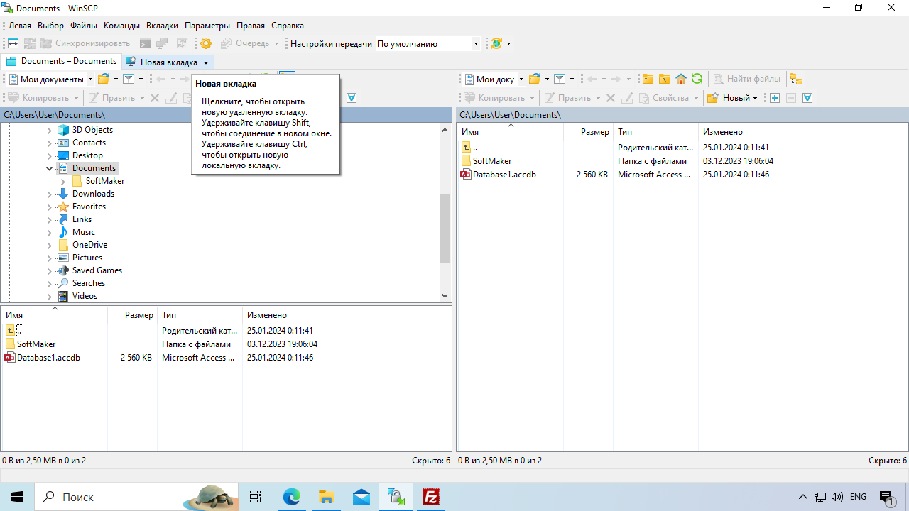 Общий интерфейс программы WinSCP
