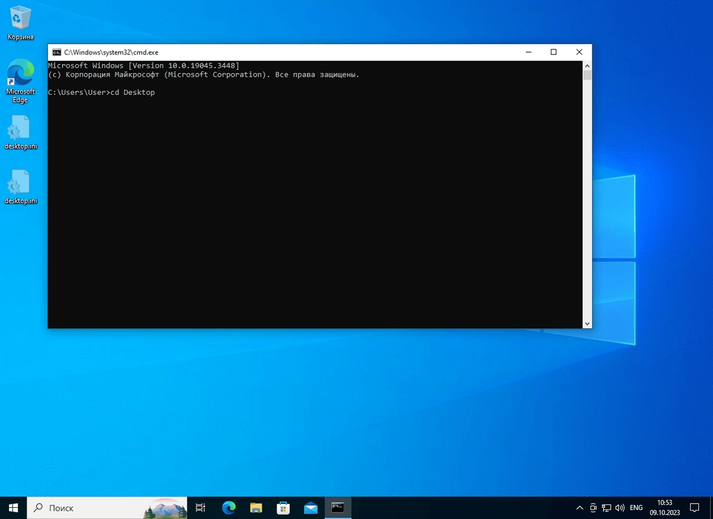 Внешний вид интерфейса командной строки в операционной системе Windows